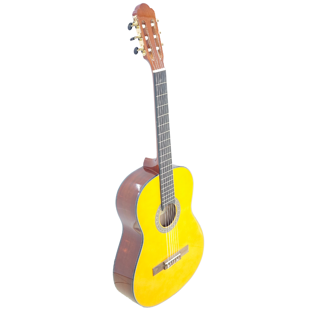 Ayden CG-40TS Classical Guitar (4/4)